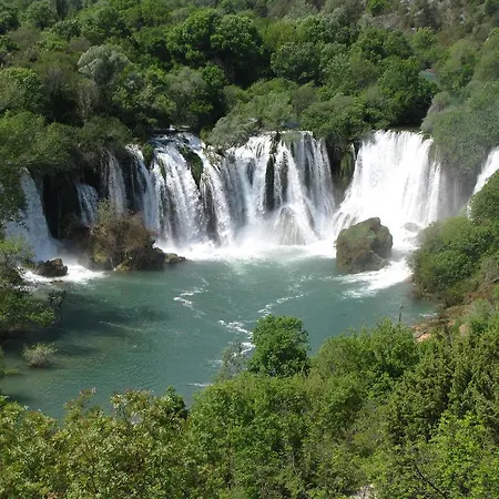 Mogorjelo 4*
